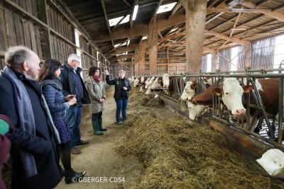 Canton Meine au Saintois - Agrandir l'image 4 sur 6, fenêtre modale