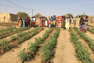 Agrandir l'image 1 sur 4, fenêtre modale